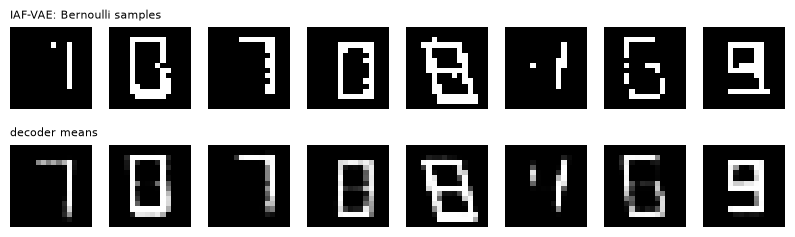 IAF-VAE samples and decoder means
